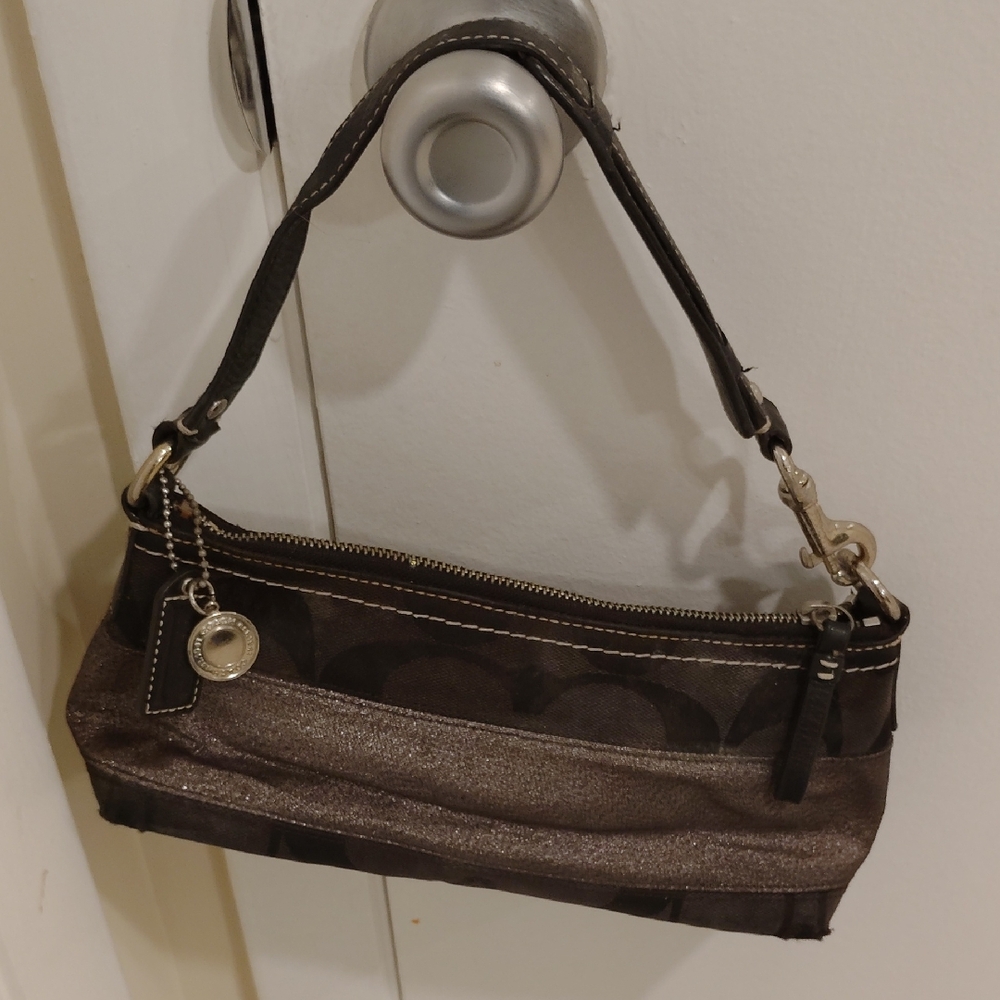 Chic Black Coach Bag